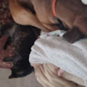 Meet your Posher, Kat